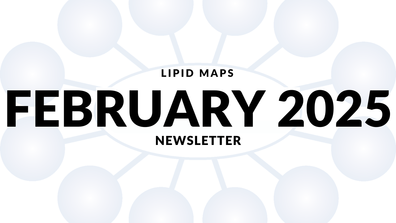 Newsletter thumbnail