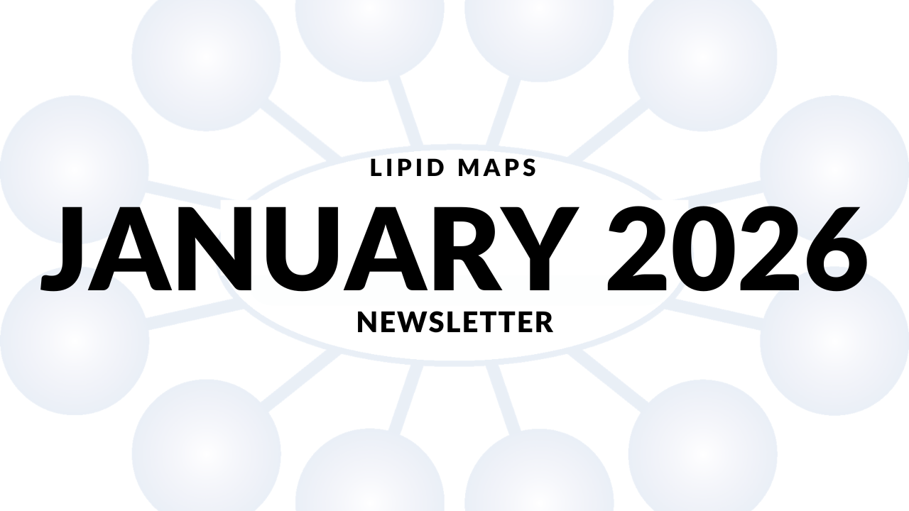 Newsletter thumbnail