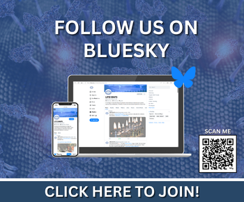 Notification: Bluesky